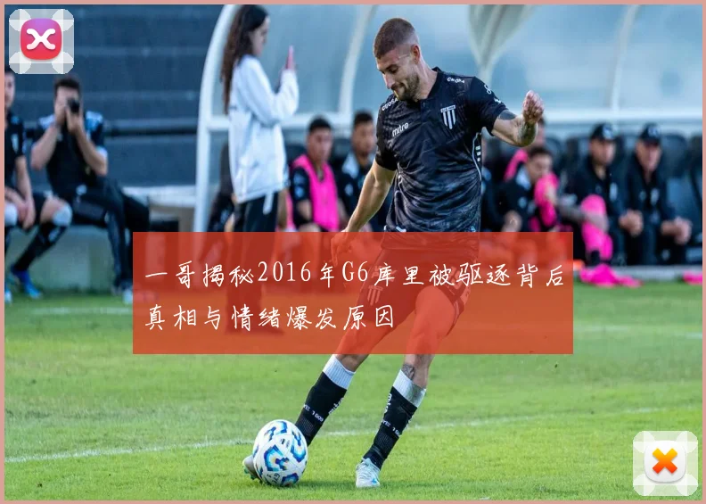 一哥揭秘2016年G6库里被驱逐背后真相与情绪爆发原因