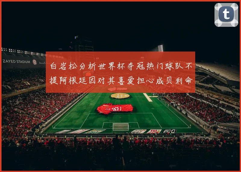 白岩松分析世界杯夺冠热门球队不提阿根廷因对其喜爱担心成贝利命运