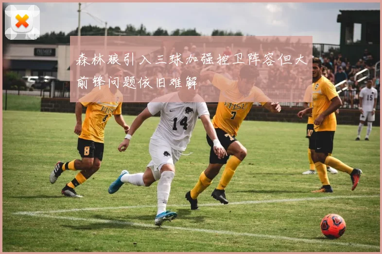 森林狼引入三球加强控卫阵容但大前锋问题依旧难解