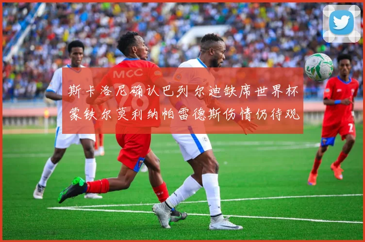 斯卡洛尼确认巴列尔迪缺席世界杯蒙铁尔莫利纳帕雷德斯伤情仍待观察