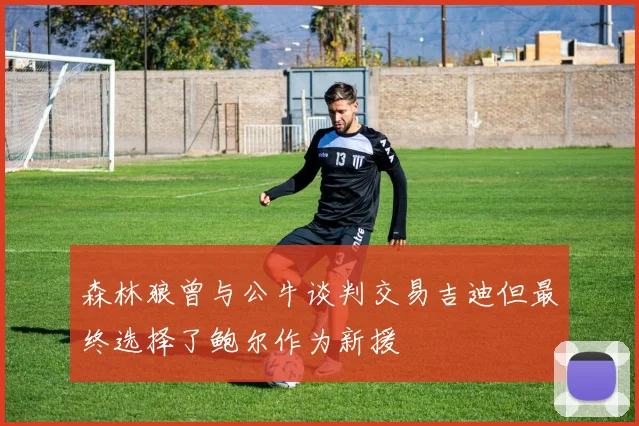 森林狼曾与公牛谈判交易吉迪但最终选择了鲍尔作为新援