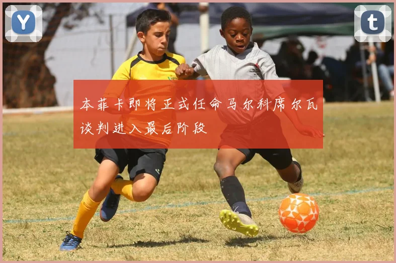 本菲卡即将正式任命马尔科席尔瓦谈判进入最后阶段