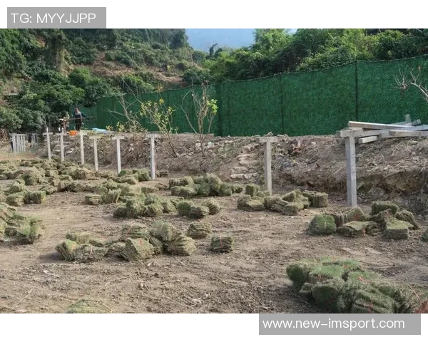坎比亚索谈客战博德体能挑战与人造草皮适应问题
